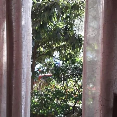 La Mimosa, Cittadella Downtown * Parma