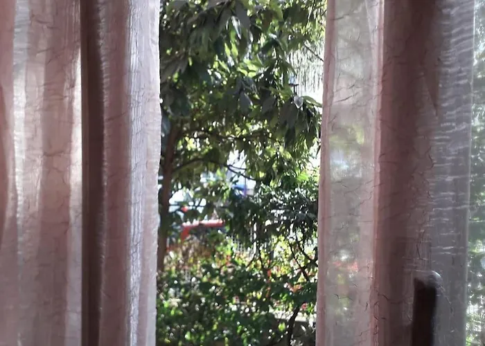 La Mimosa, Cittadella Downtown * Parma